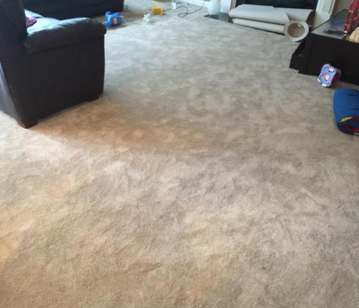 New carpeting in living room