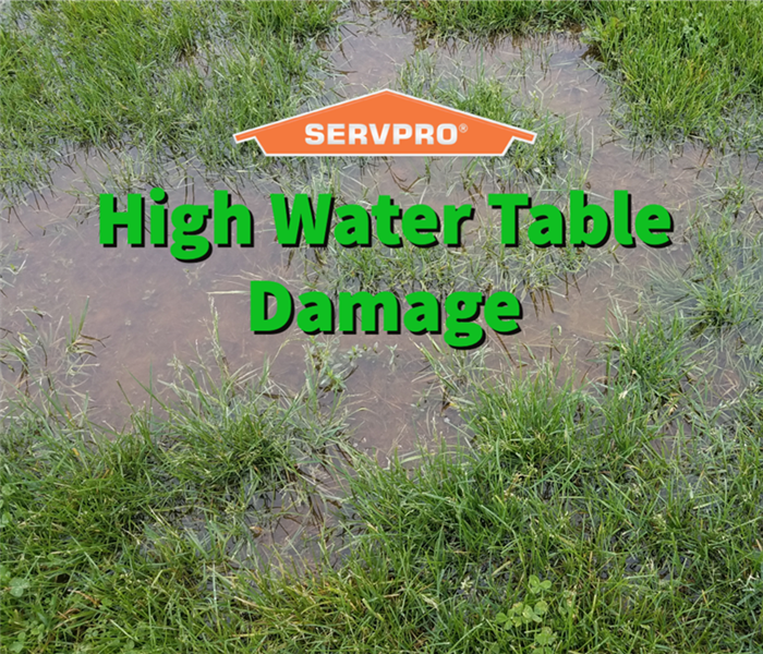 A yard with a high water table in Austell, Ga