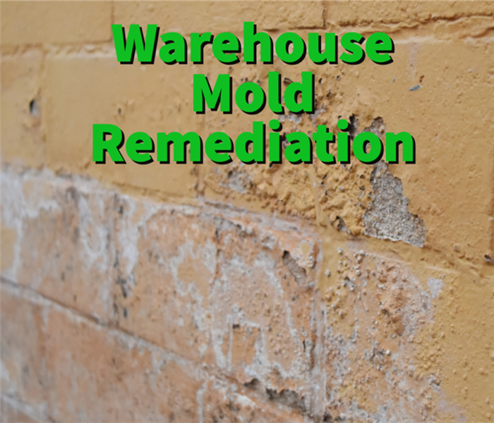 A warehouse mold issue in Atlanta