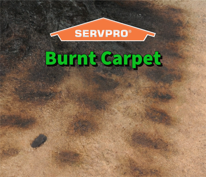 Burnt carpet in a Smyrna Georgia home