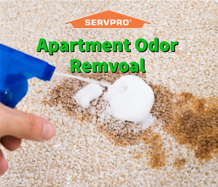 A SERVPRO professional performing apartment odor removal services