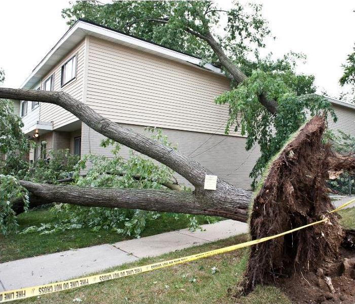 Fallen tree due to high-speed winds in Austell, GA