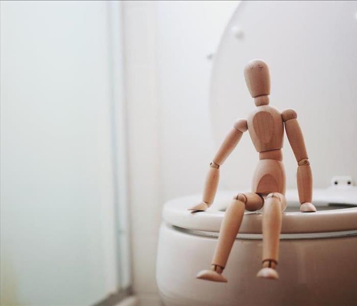 Figurine on toilet in bathroom
