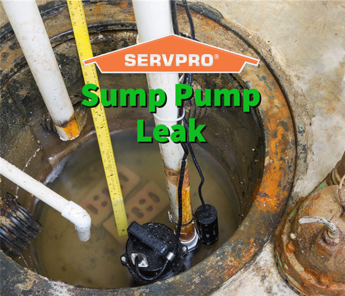 A leaking sump pump in a Smyrna home.